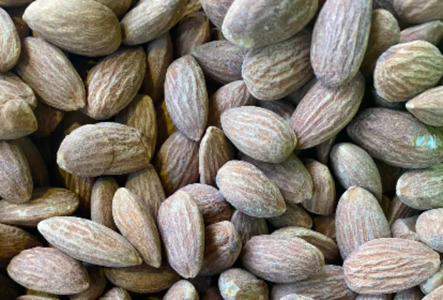 Almond
