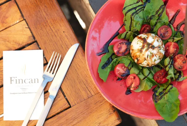 Truffle Oil Burrata