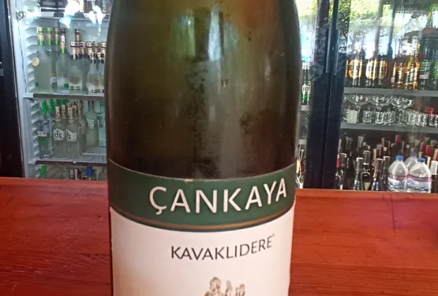 Çankaya