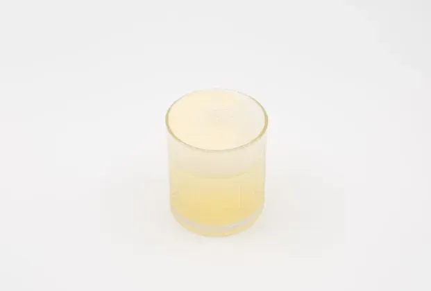 Mango Smoothie (16oz.)