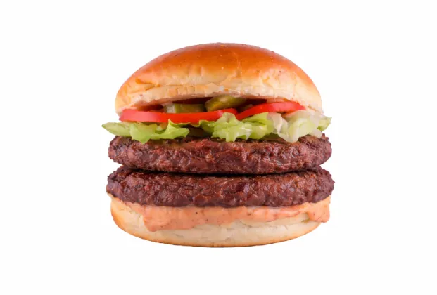 Double classic burger & fries