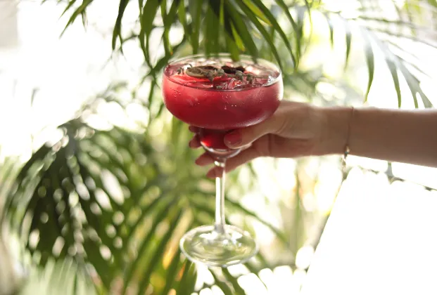 Happy Dayz Cocktail