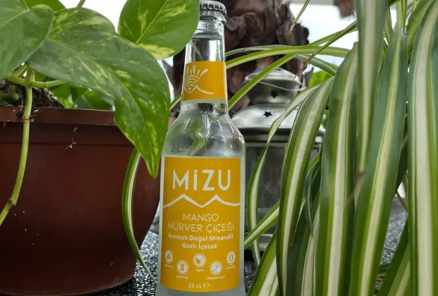 Mizu Mango and Elderflower