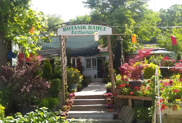 Botanic Coffee