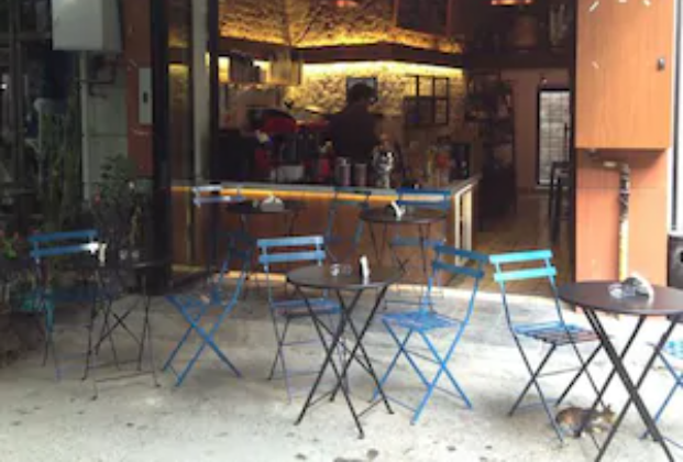 Coffee Sapiens