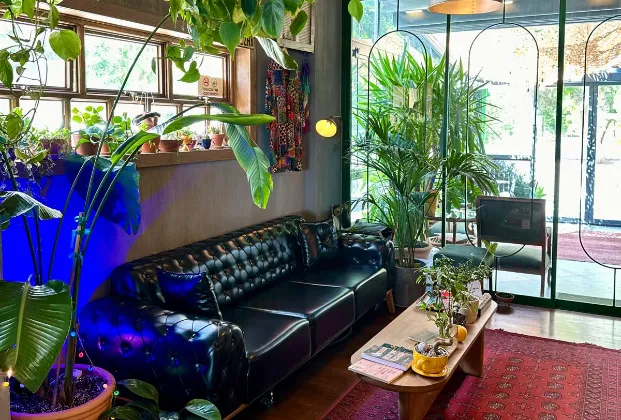 Grow Coffee & Healthy Juice 2