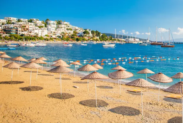 Iconic Beach Bar