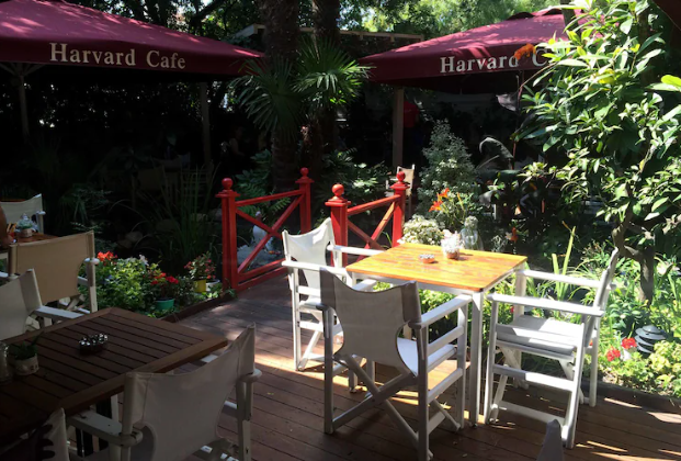 Harvard Cafe