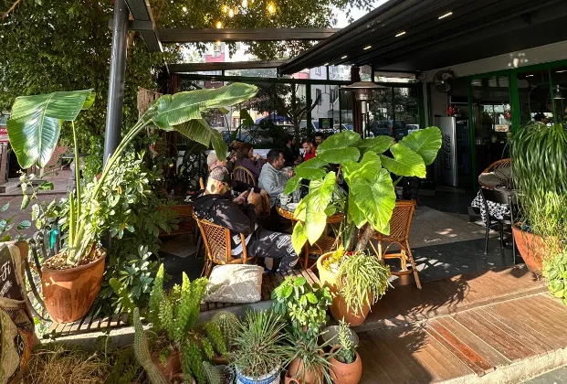 Grow Coffee & Healthy Juice 4