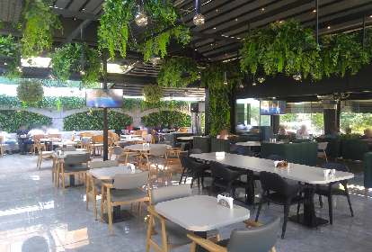 Cafe de Solis