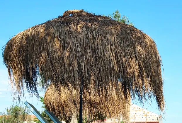 Leo Beach