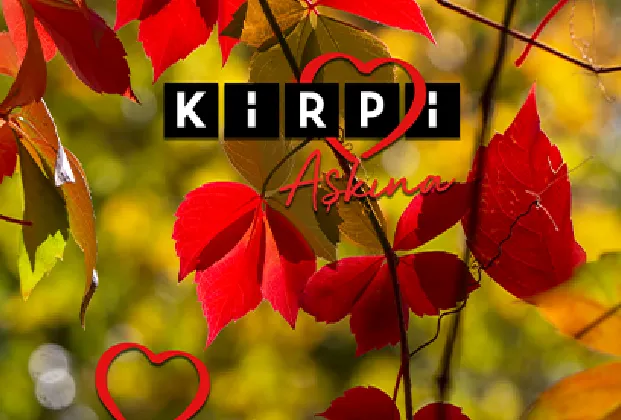 Kirpi - Galataport 0