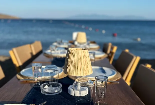 Çipa Balık