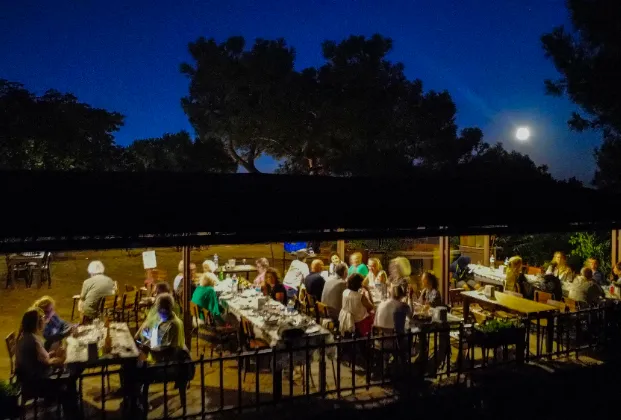 Yücetepe Büyükada - Restaurant 2
