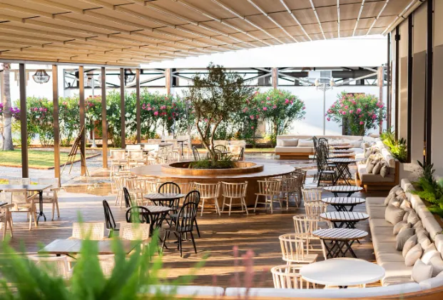 Restaurants & Bars