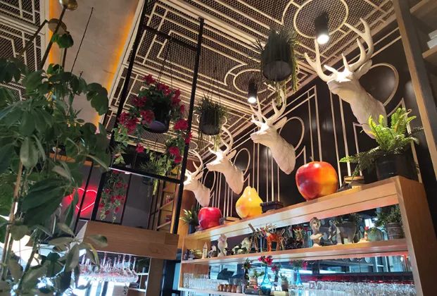 Cookshop - Samsun Piazza AVM 7