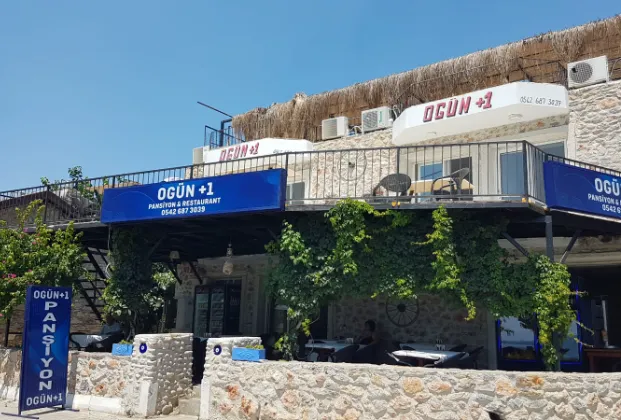 Ogün +1